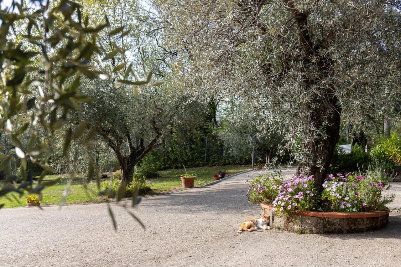 La Tana Delle Stelle B&B Di Charme E Relax Fara in Sabina Zewnętrze zdjęcie