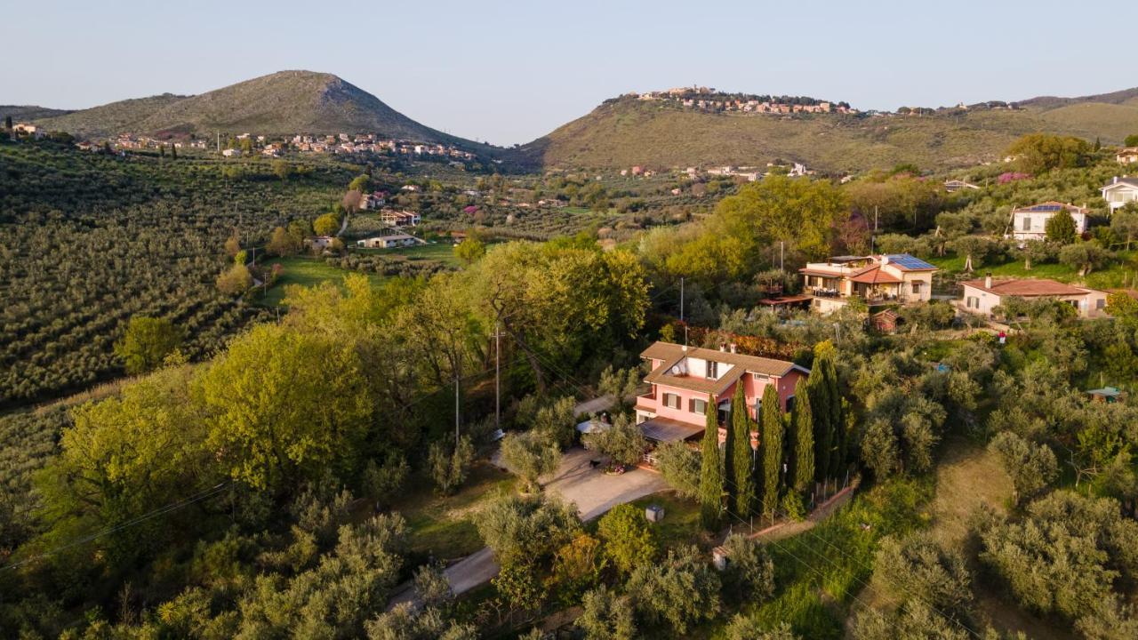 La Tana Delle Stelle B&B Di Charme E Relax Fara in Sabina Zewnętrze zdjęcie