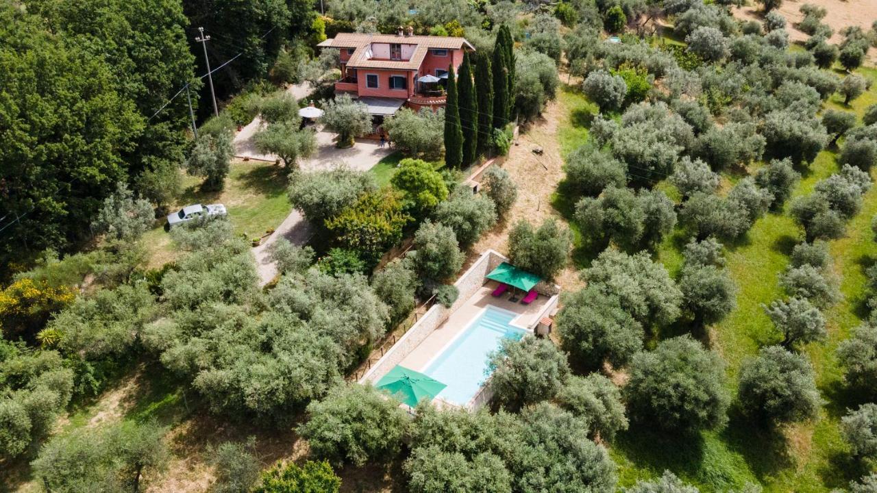 La Tana Delle Stelle B&B Di Charme E Relax Fara in Sabina Zewnętrze zdjęcie